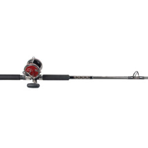 1151522 6 6  Special Senator Conventional Saltwater Combo, Medium Heavy Power
