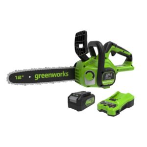 24-volt 12-in Brushless Battery 4 Ah Chainsaw (Battery and Charger Included)