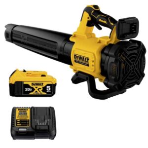 20V Max XR Leaf Blower, 125-MPH, 450-CFM (DCBL722P1)