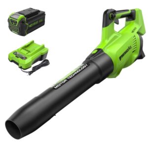 40V (130 MPH / 550 CFM / 75+ Compatible Tools) Cordless Brushless Axial Leaf Blower, 4.0Ah Battery and Charger Included