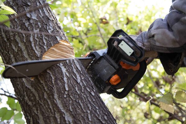 Cordless Electric Chainsaw, 16-Inch Brushless with 40V Max 4Ah Battery and Charger (40417) - Image 7