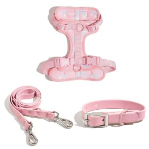 Cute Pattern Leash Set