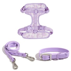 3-in-1 Dog Walking Set