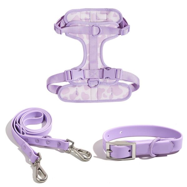 3-in-1 Dog Walking Set