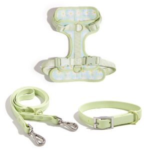 Floral Dog Harness Set
