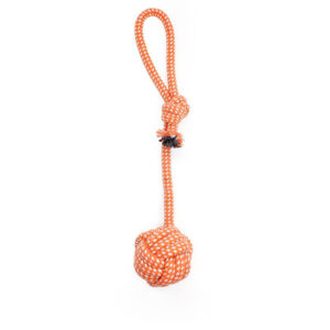 Interactive Pet Rope Toy