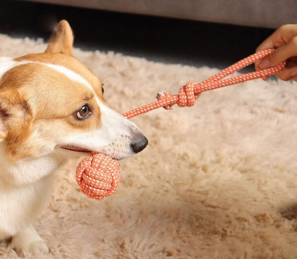 Dog Chew Rope - Image 3