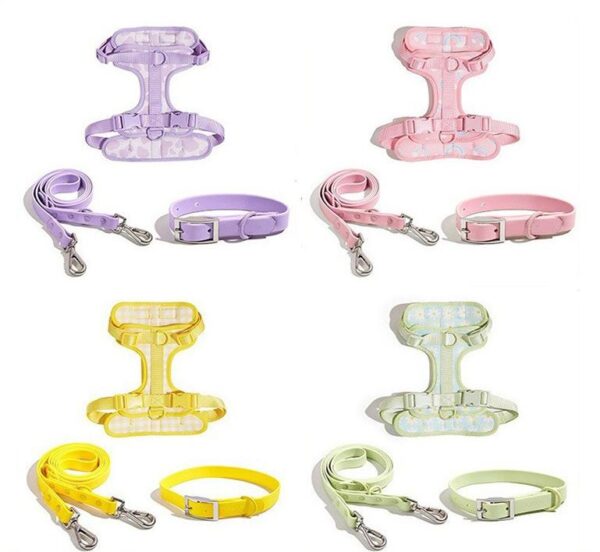 Cute Pattern Leash Set - Image 2